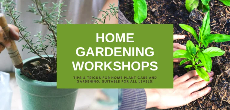 Gardening & Home Plant Care