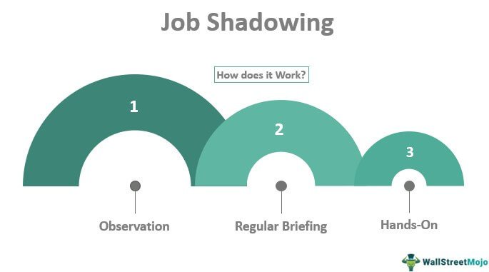 Job Shadowing/Volunteerism